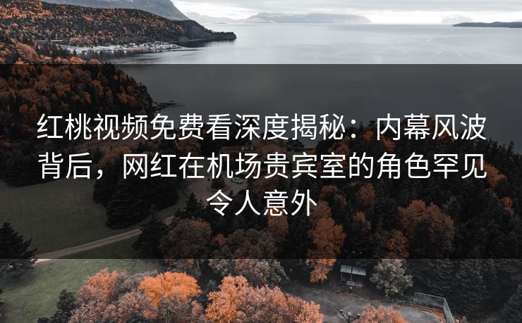 红桃视频免费看深度揭秘:内幕风波背后,网红在机场贵宾室的角色罕见令人意外