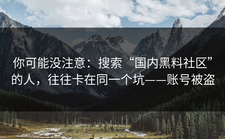 你可能没注意：搜索“国内黑料社区”的人，往往卡在同一个坑——账号被盗